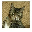 Product picture Meow